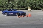 HMG 6265