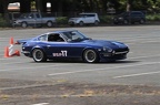 HMG 6295