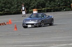 HMG 6393