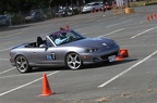 HMG 6406