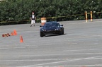 HMG 6411