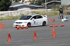 HMG 6433