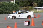 HMG 6436