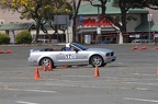 HMG 6513