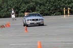 HMG 6517