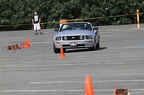 HMG 6519