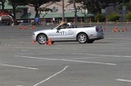 HMG 6527