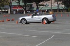 HMG 6528