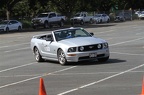HMG 6543