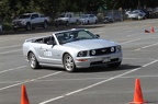 HMG 6544
