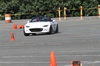 HMG 6549