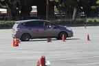 IMG 1319