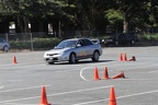 IMG 1519