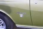 IMG 0354