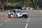 IMG 0451