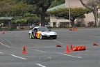 IMG 0520