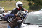 IMG 0689