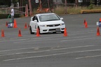 IMG 0729