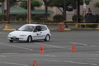 IMG 0833
