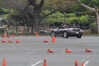 IMG 0923