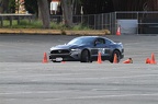 IMG 7521