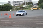 IMG 4814