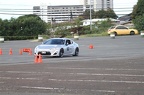 IMG 4816