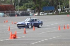 IMG 4837
