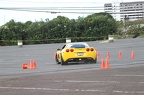 IMG 4883