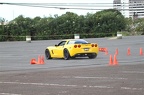 IMG 4885
