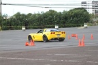 IMG 4886