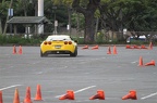 IMG 4897