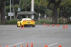 IMG 4901