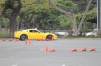 IMG 4902
