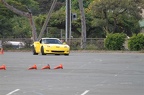 IMG 4905