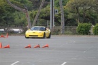 IMG 4908