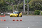 IMG 4909
