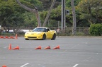 IMG 4910