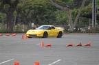 IMG 4911