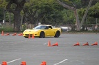 IMG 4912