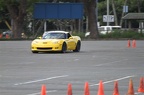 IMG 4917