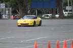 IMG 4918