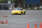 IMG 4919