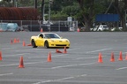IMG 4933