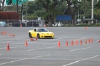 IMG 4935