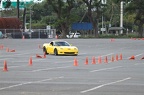 IMG 4936