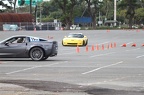 IMG 4941