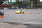 IMG 4943