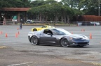 IMG 4951