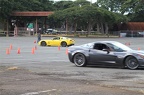 IMG 4952